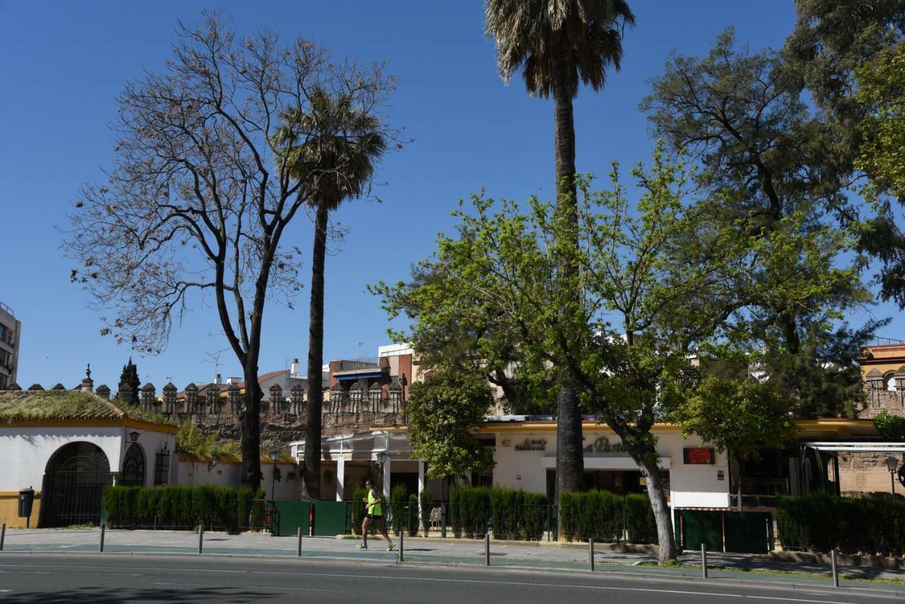 Modern Atico, Close Macarena/Sevilla Center Екстер'єр фото
