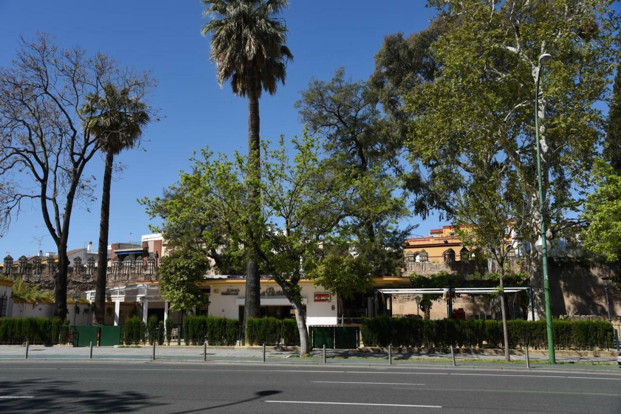Modern Atico, Close Macarena/Sevilla Center Екстер'єр фото